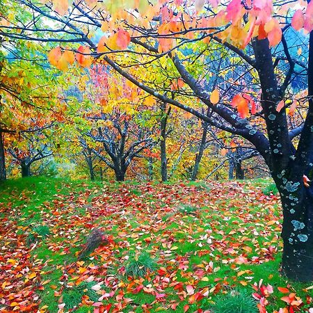 La Albarea By #Cherrygredos El Arenal  Esterno foto