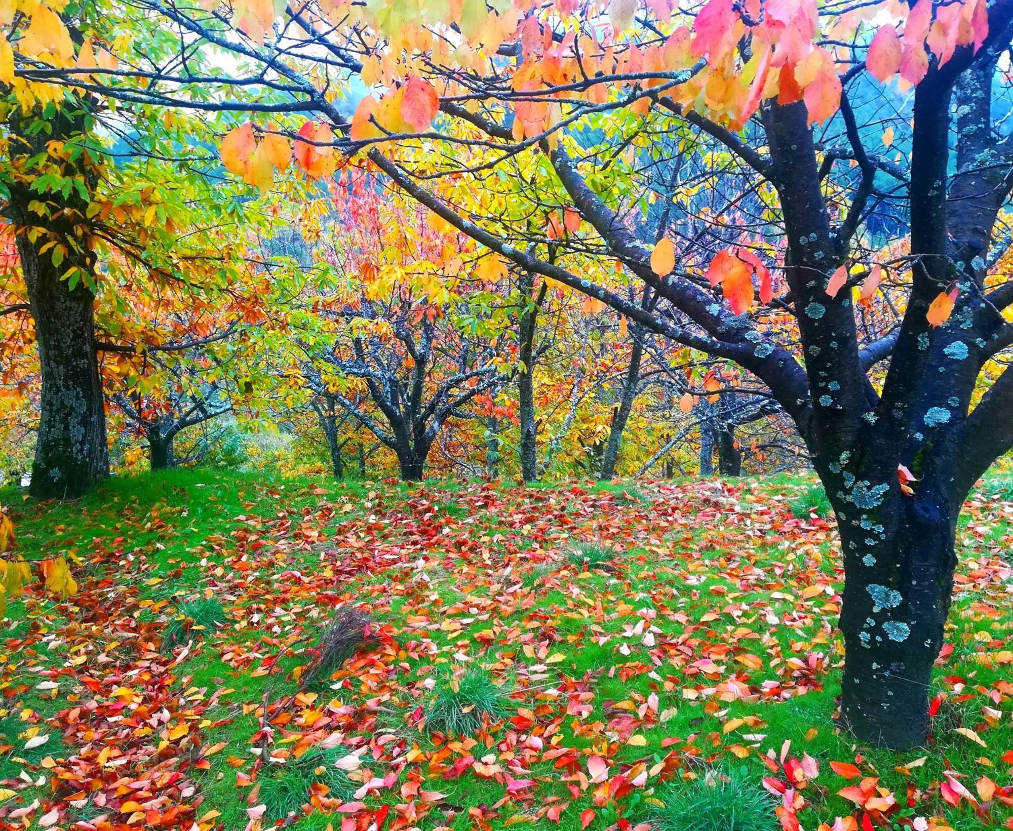 La Albarea By #Cherrygredos El Arenal  Esterno foto