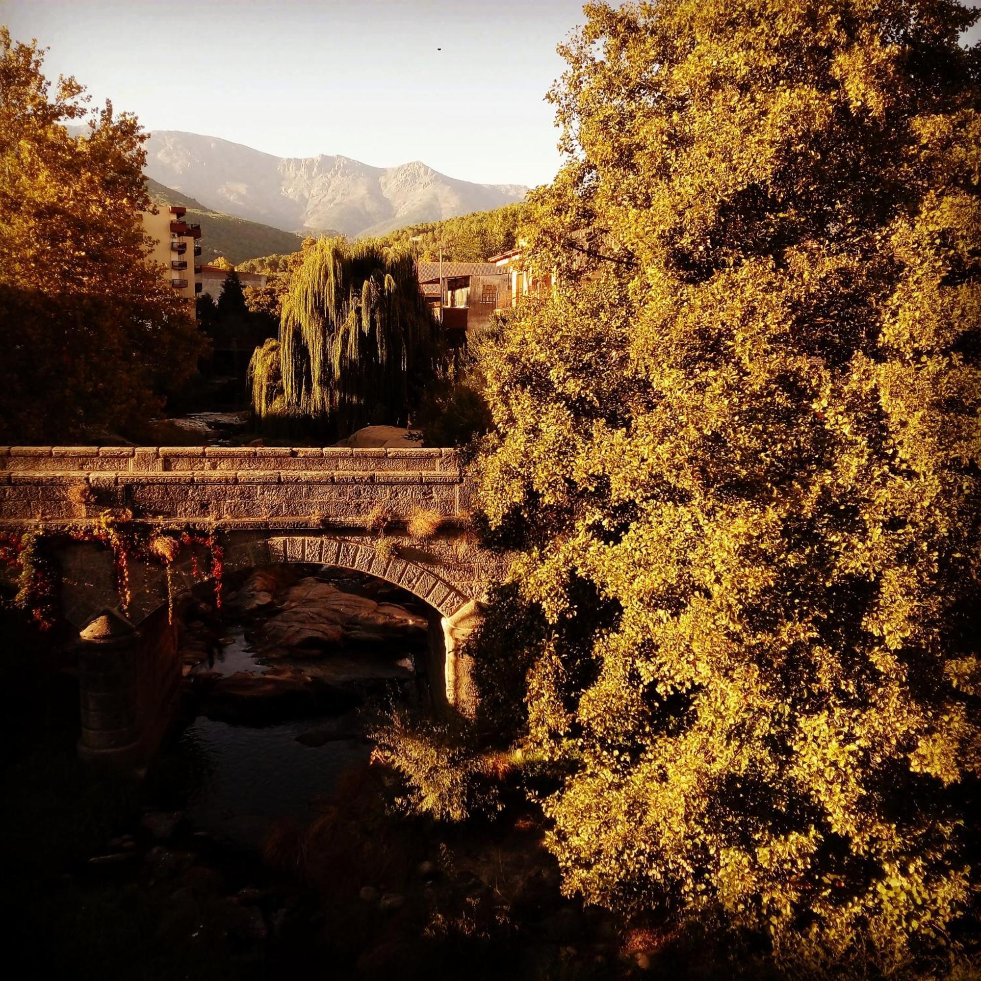 La Albarea By #Cherrygredos El Arenal  Esterno foto