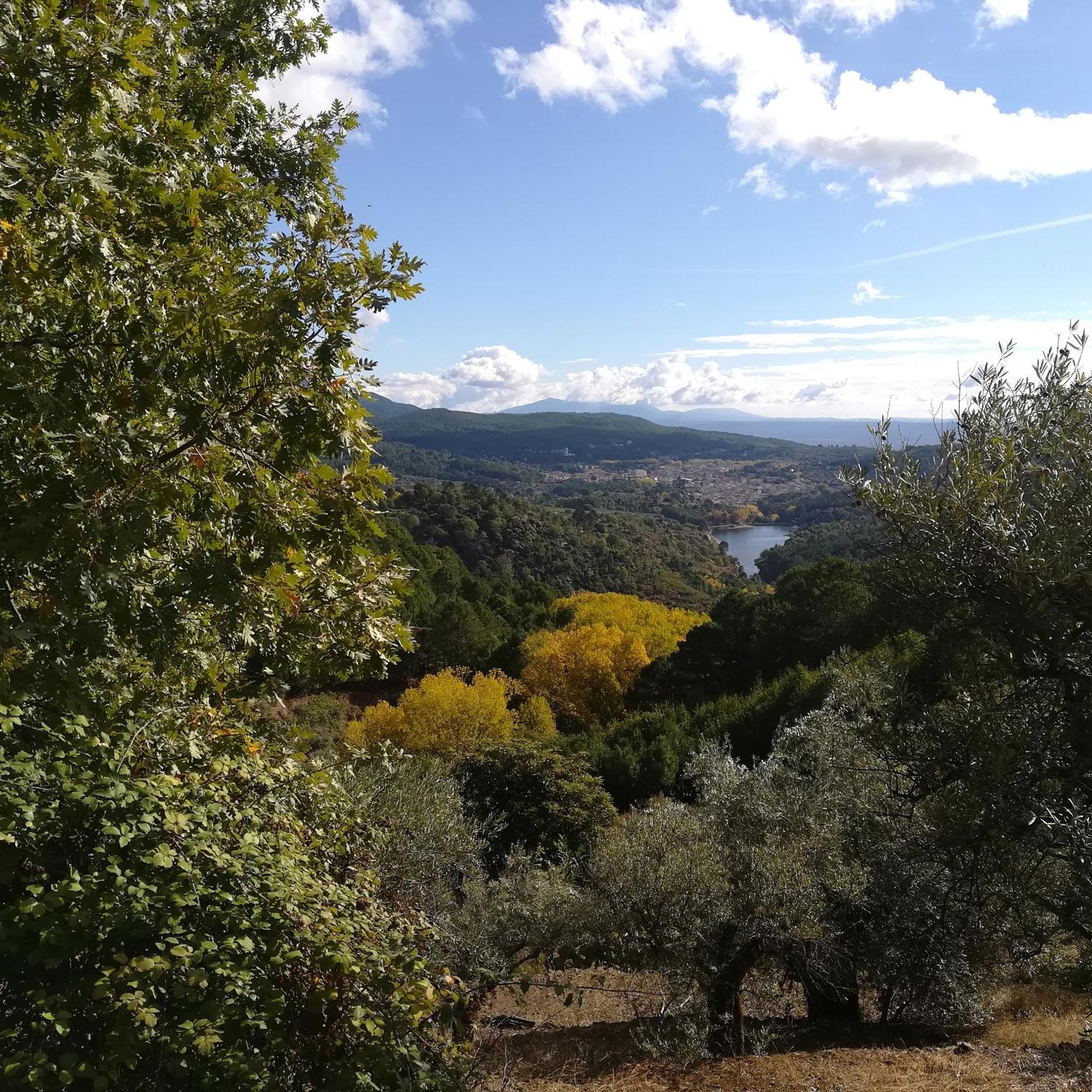 La Albarea By #Cherrygredos El Arenal  Esterno foto