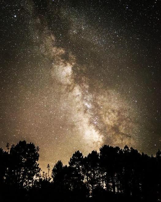 La Albarea By #Cherrygredos El Arenal  Esterno foto